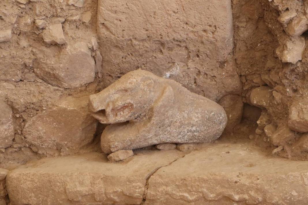 Göbelitepe'de heyecanlandıran keşif: Dünyanın en eskisi ilk kez ülkemizde bulundu! Tarih öncesi sanatın en etkileyici örneği 42